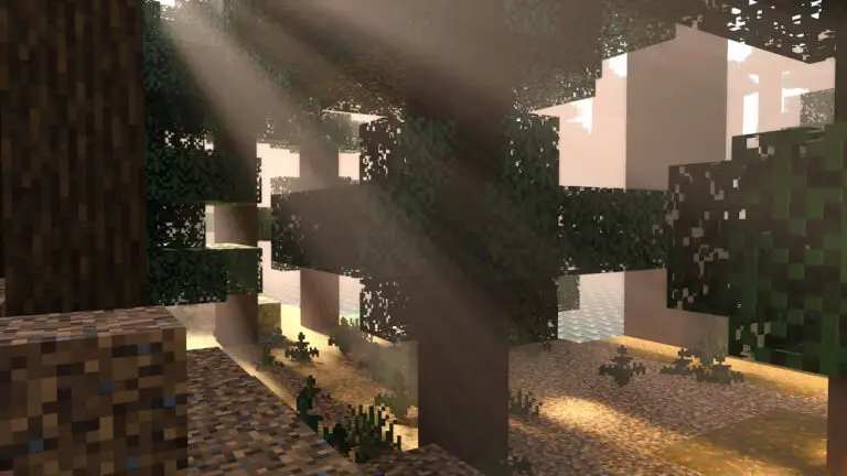 Vanilla rtx 009