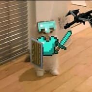 PedroC